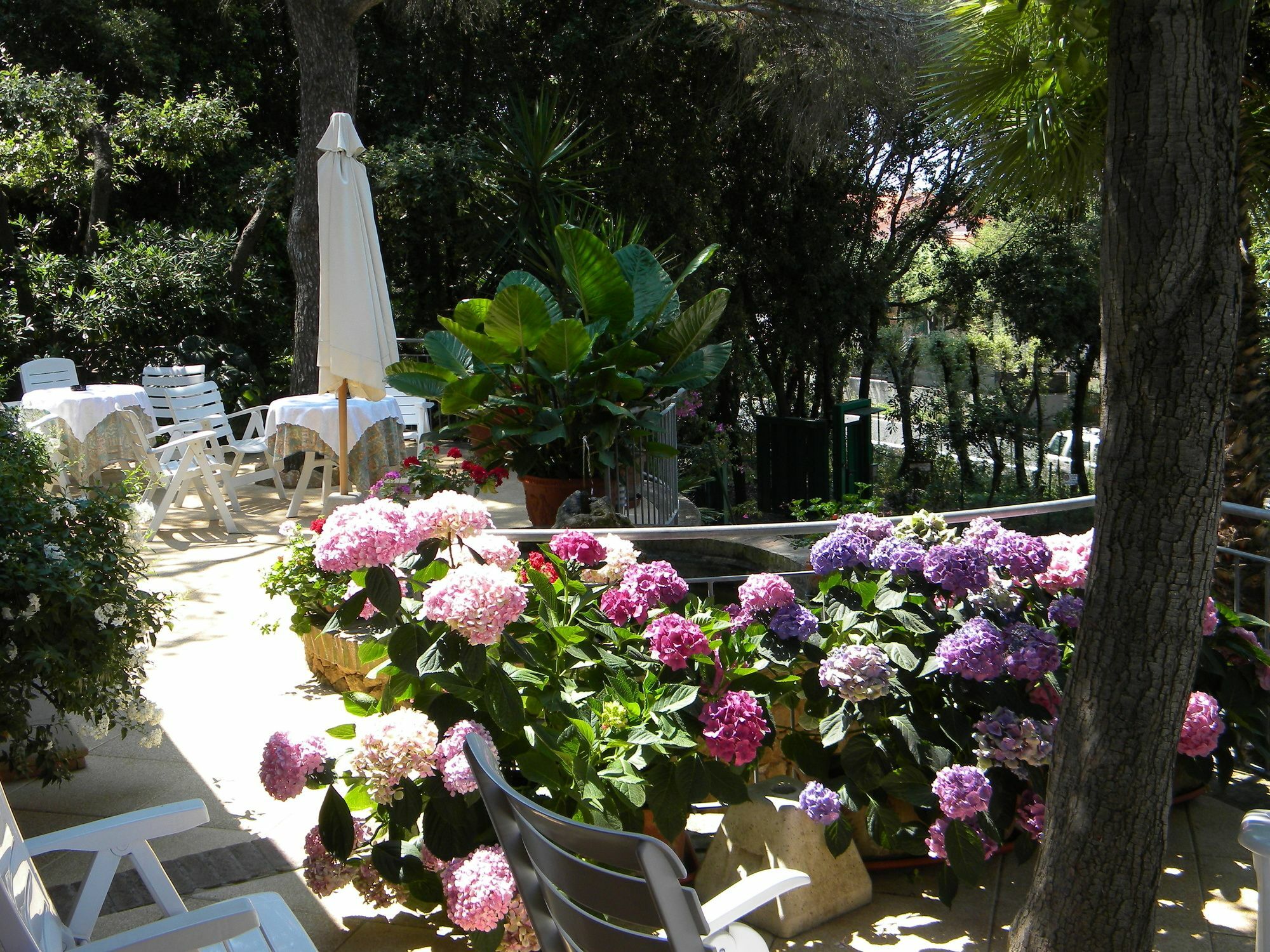 Hotel La Rosa Del Tirreno Livorno Eksteriør billede